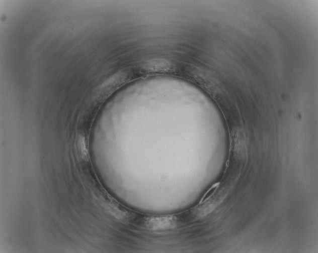 X0000070380089200606231723