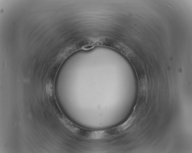 X0000070380090200606231723