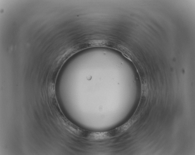 X0000070380093200606231723