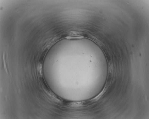 X0000070380094200606231723