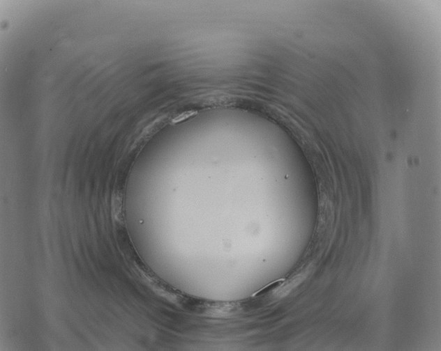 X0000070380096200606231723