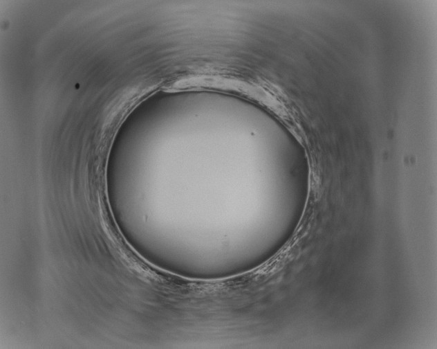 X0000070380097200606231722