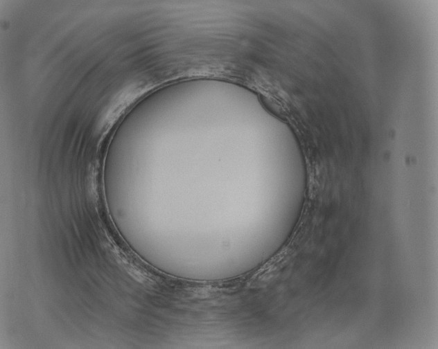 X0000070380098200606231722