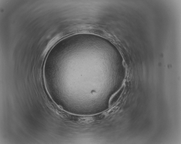 X0000070380099200606231722