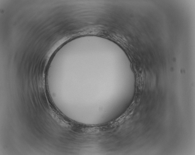 X0000070380100200606231722