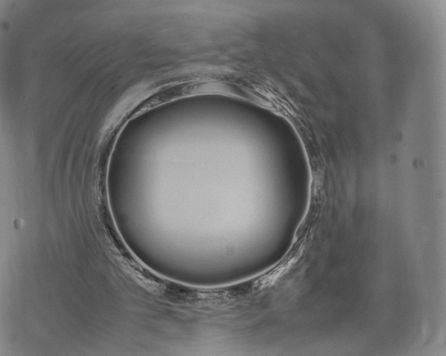 X0000070380101200606231722