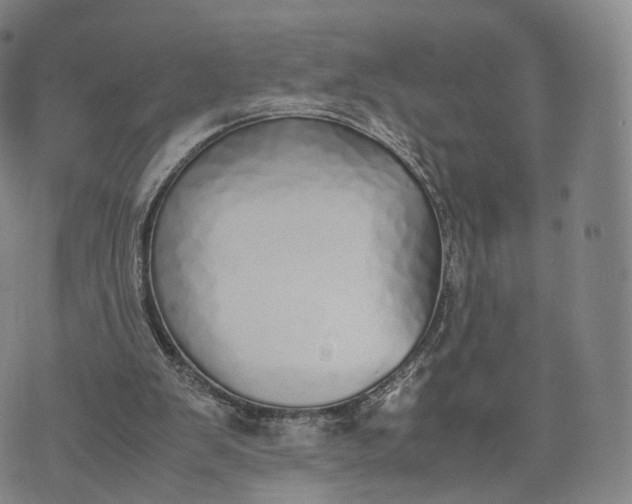 X0000070380103200606231722