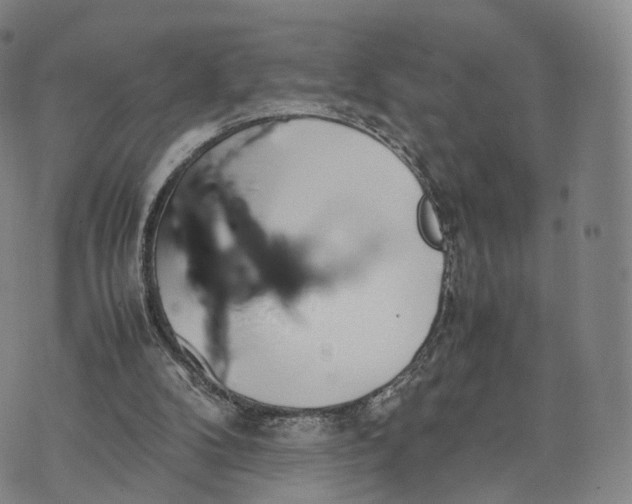 X0000070380104200606231722