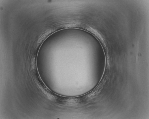 X0000070380105200606231722