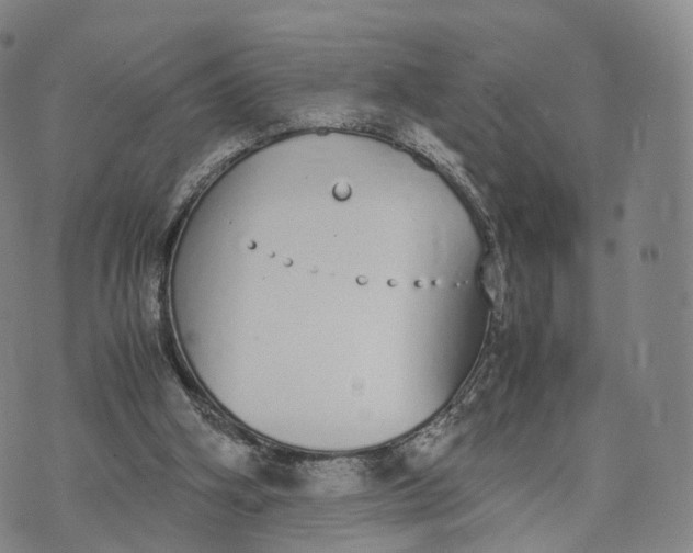 X0000070380106200606231722