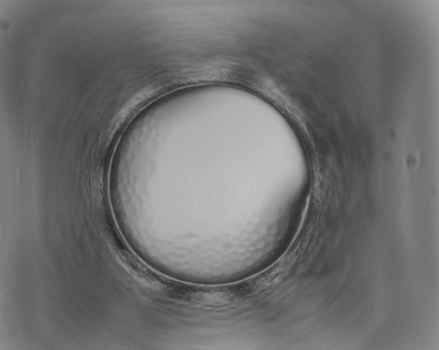 X0000070380107200606231722