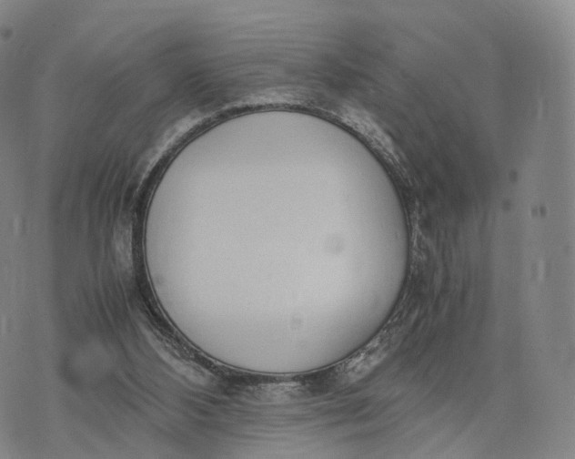 X0000070380108200606231722