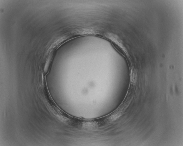 X0000070380109200606231722