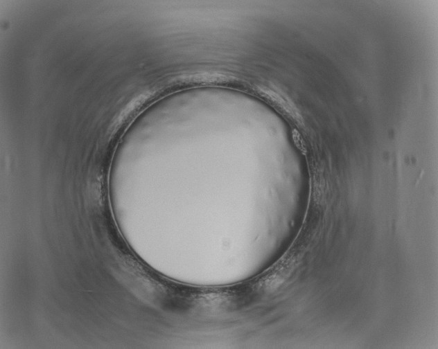 X0000070380111200606231722