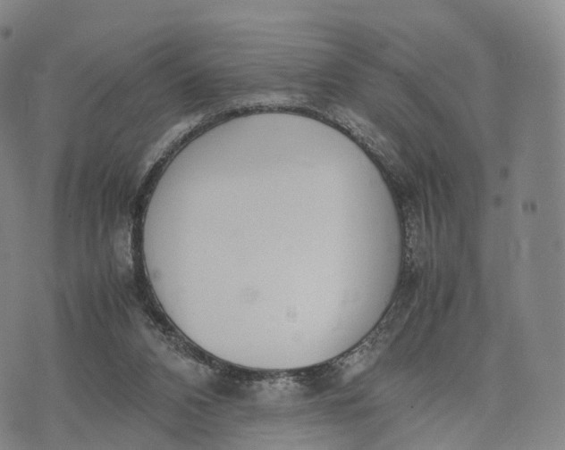 X0000070380112200606231722