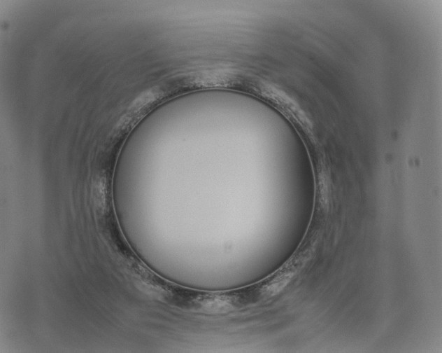 X0000070380113200606231722