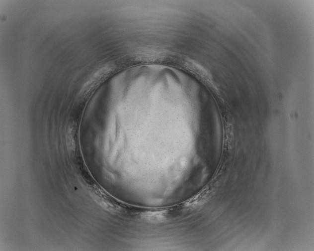 X0000070380114200606231722