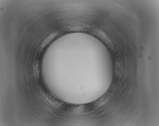 X0000070380116200606231722