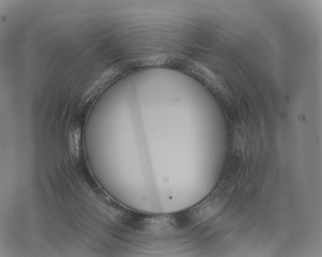 X0000070380118200606231722