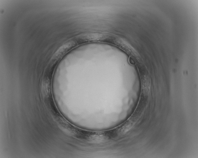 X0000070380119200606231722