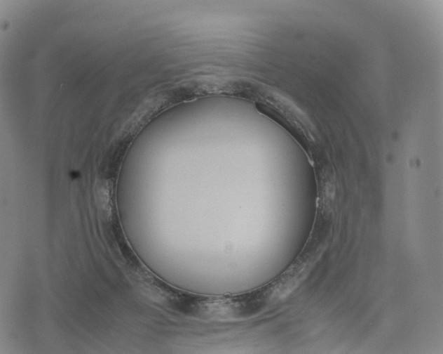 X0000070380121200606231722