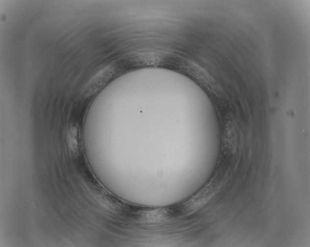 X0000070380122200606231722