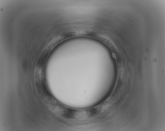 X0000070380123200606231722