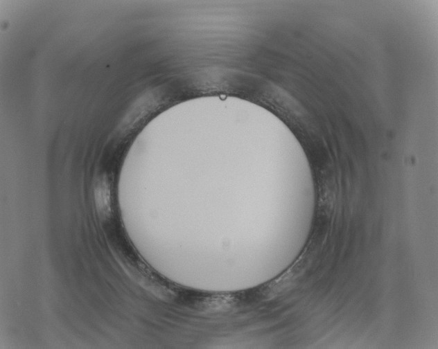 X0000070380124200606231722