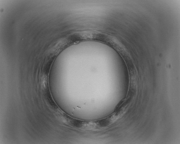 X0000070380125200606231722