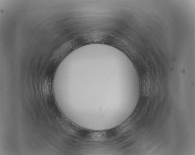 X0000070380126200606231722