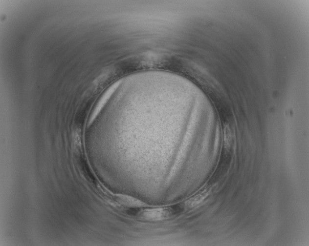 X0000070380127200606231722