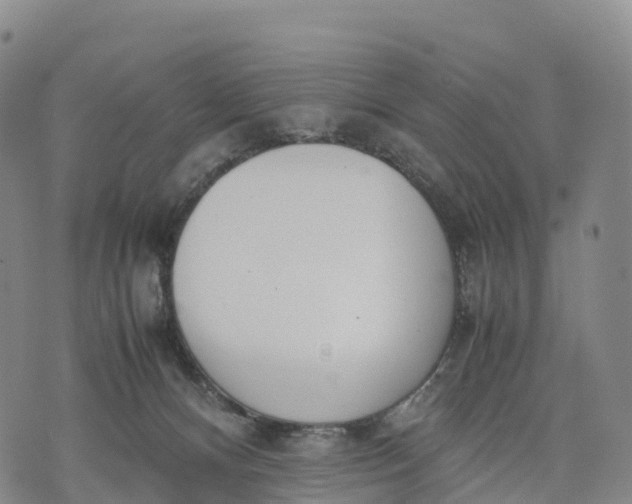 X0000070380128200606231722