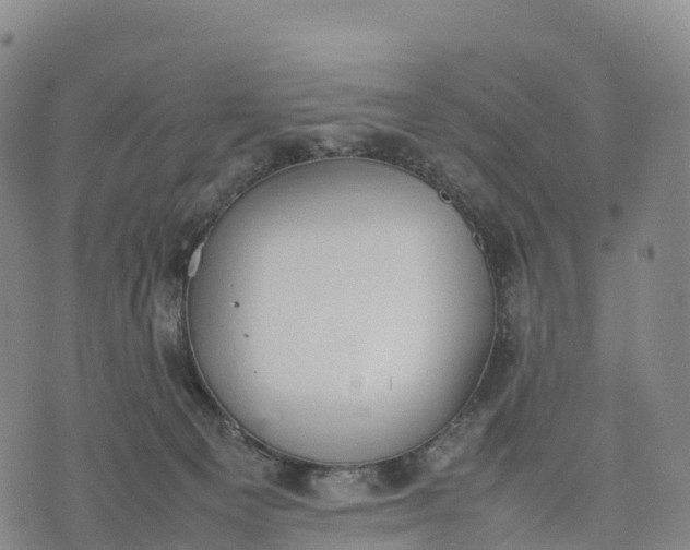 X0000070380129200606231722