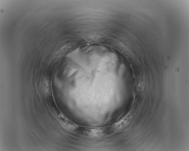 X0000070380130200606231722