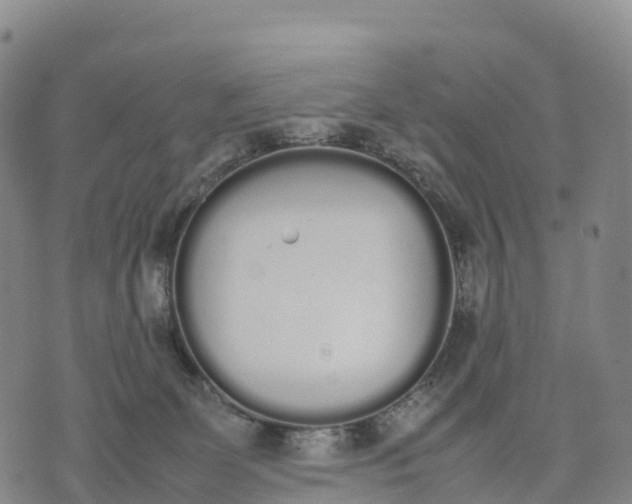 X0000070380131200606231722