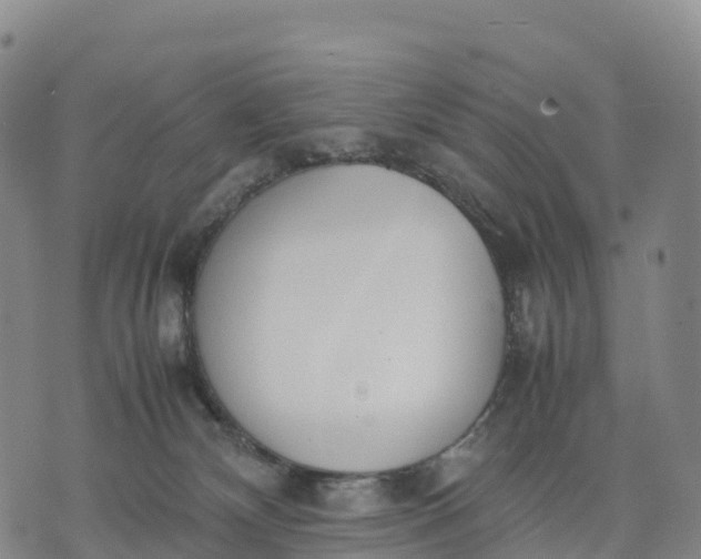 X0000070380132200606231722