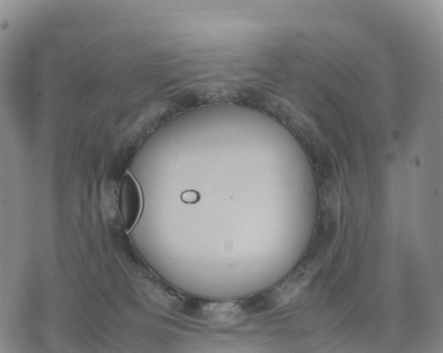 X0000070380133200606231722