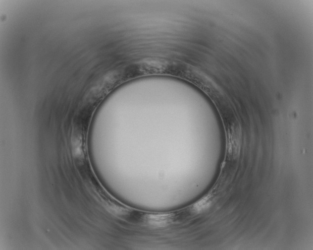 X0000070380134200606231722