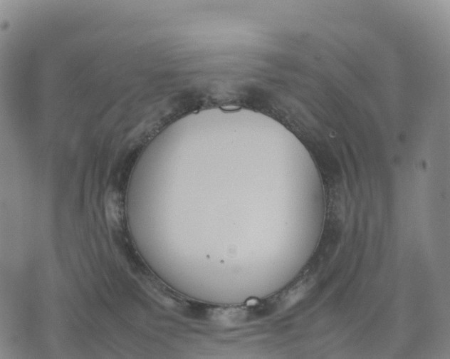 X0000070380135200606231722