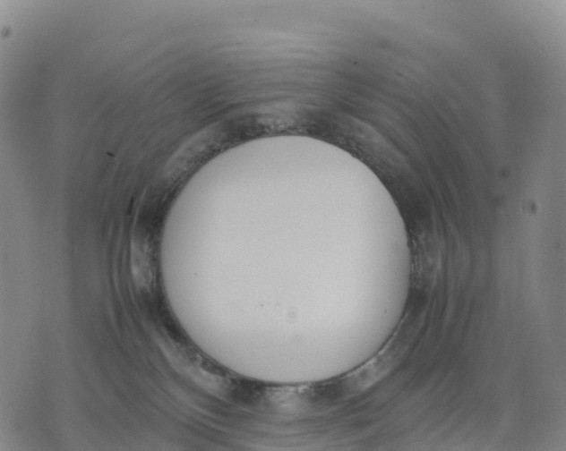 X0000070380136200606231722