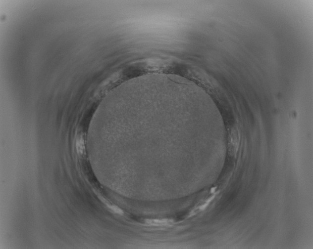 X0000070380137200606231722