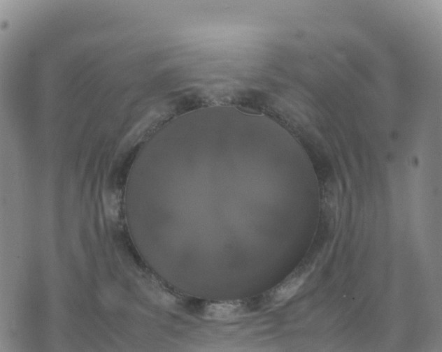 X0000070380139200606231722