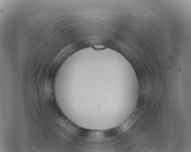 X0000070380140200606231722