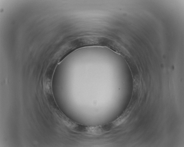 X0000070380141200606231722