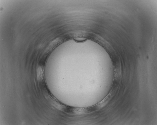 X0000070380142200606231722