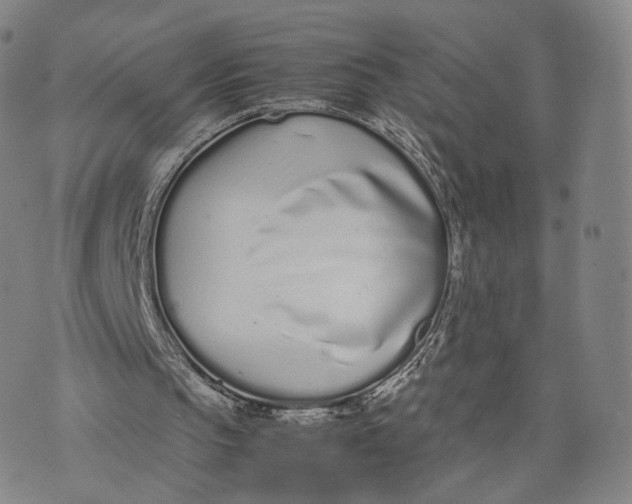 X0000070380145200606231721