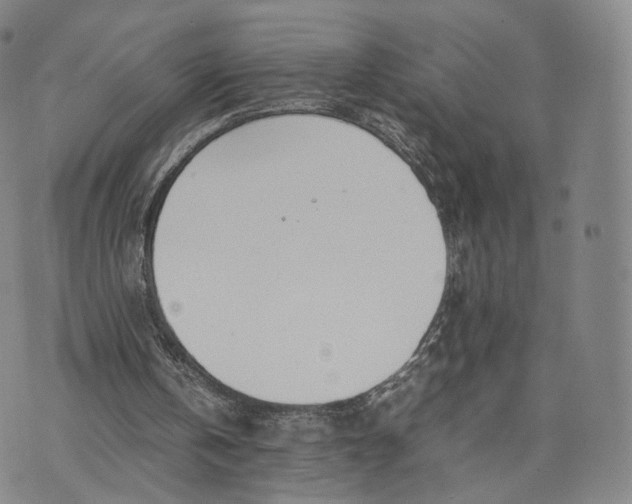 X0000070380146200606231721