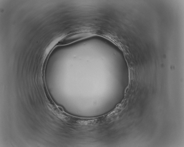 X0000070380147200606231721