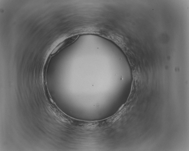 X0000070380148200606231721