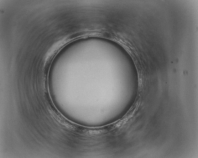 X0000070380149200606231721